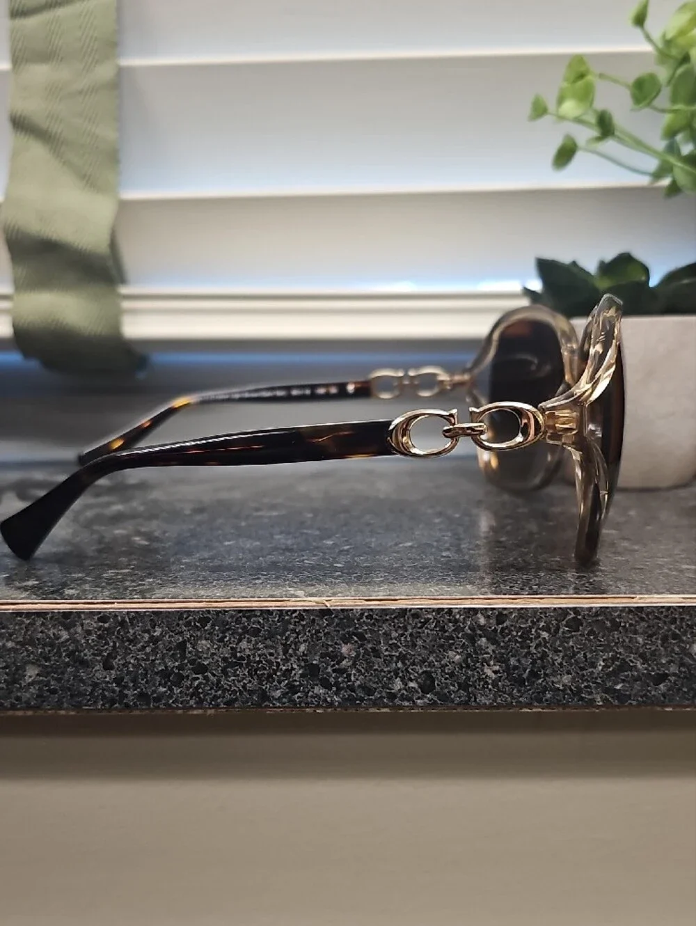 Coach Brown Gradient Oversized Women’s Sunglasses with Gold Accents HC 8145